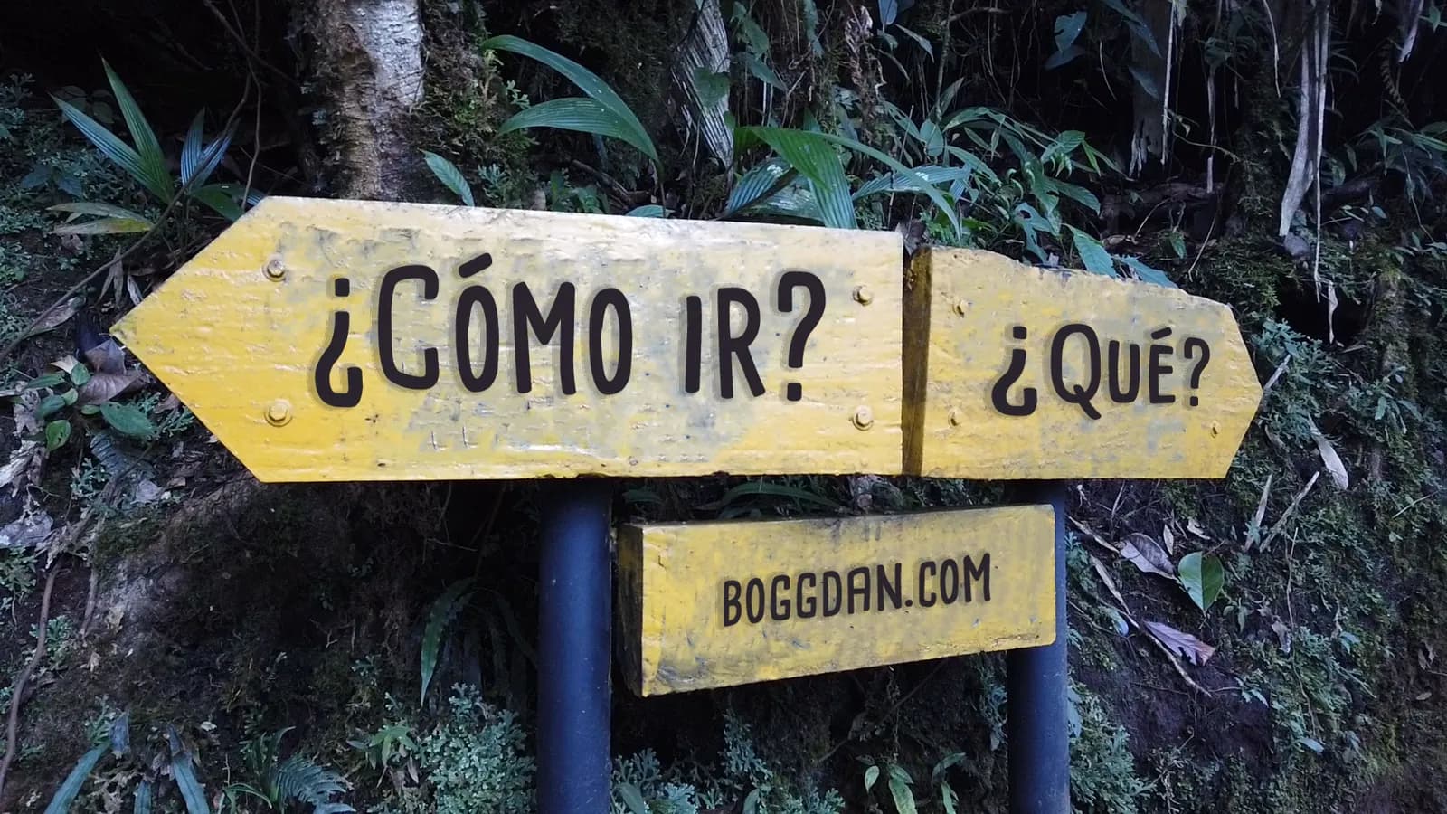 ¿Eres nuevo? ¡Bienvenido!