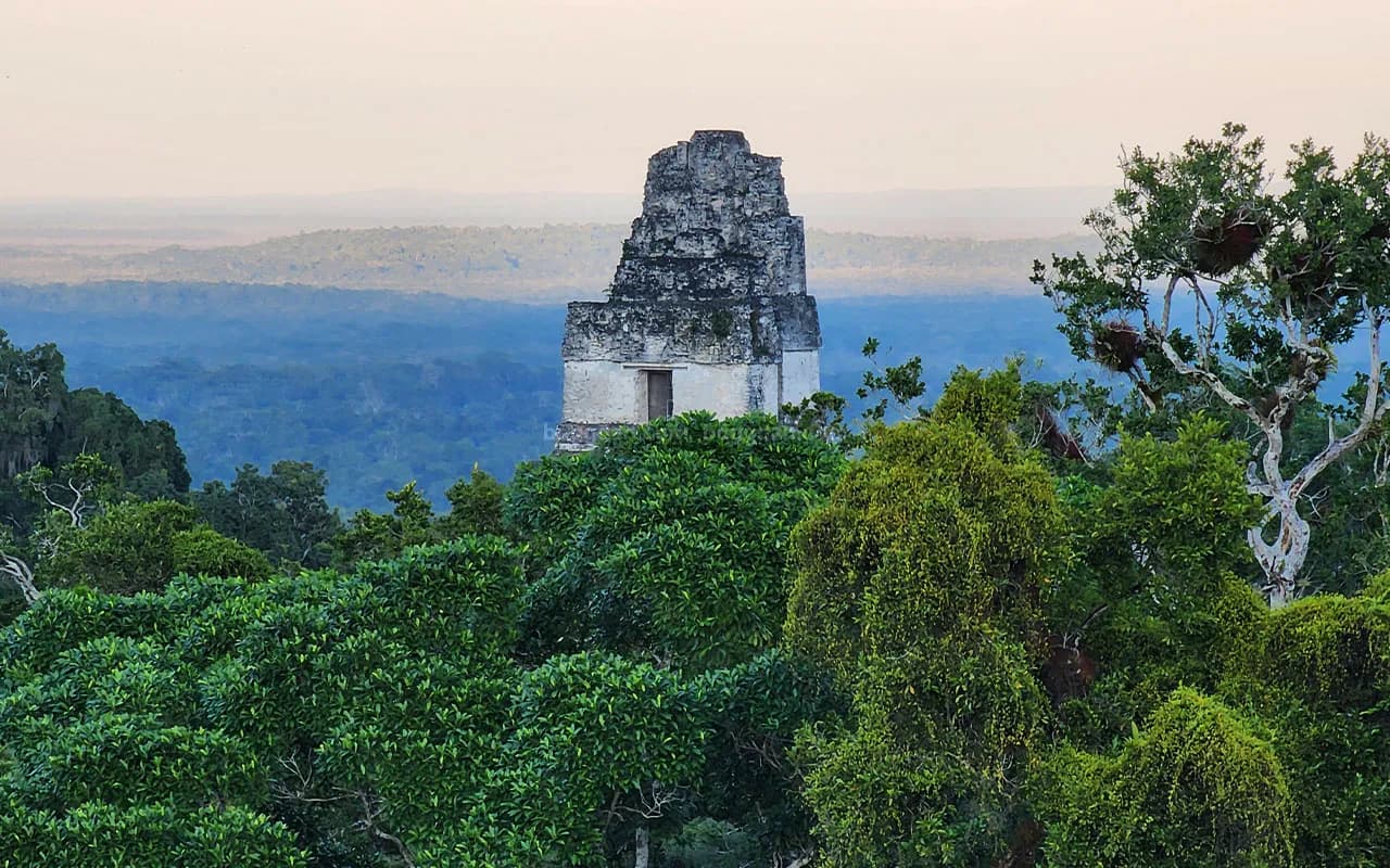 Guía para visitar Tikal