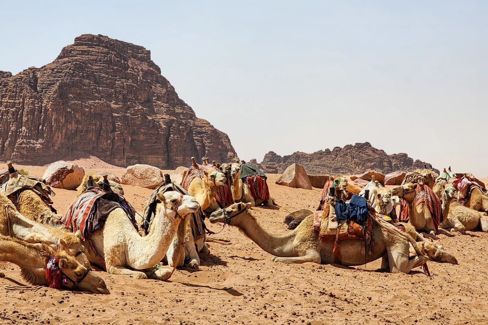Jordania
