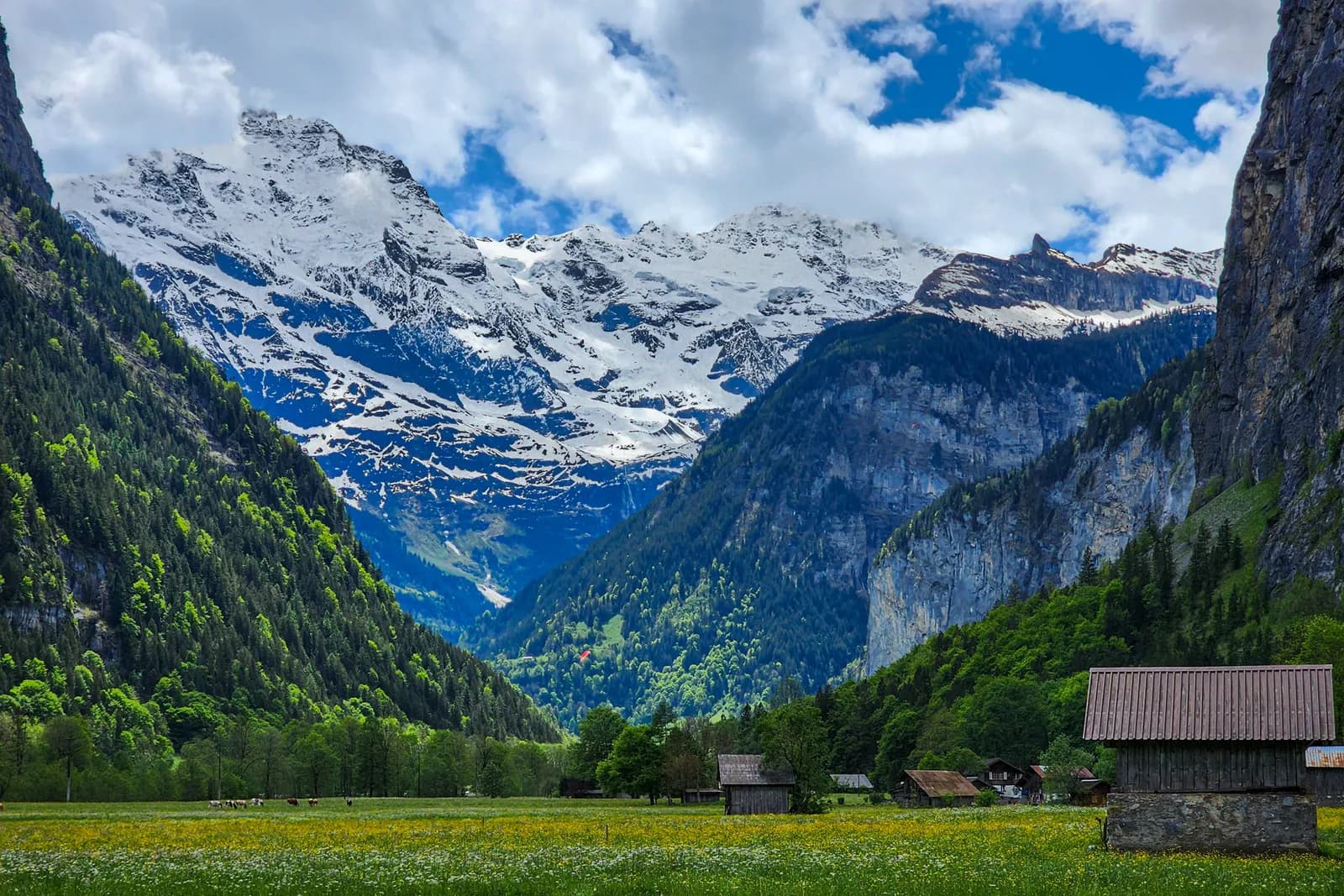 Suiza